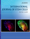 International Journal Of Stem Cells期刊封面